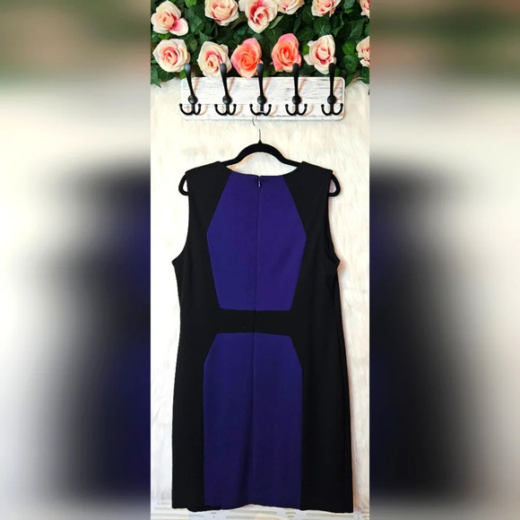 Jessica Petite Classic Colorblock Dress - Picture 3 of 4